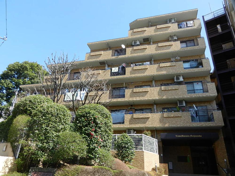 Local appearance photo. Local (March 2013) Shooting