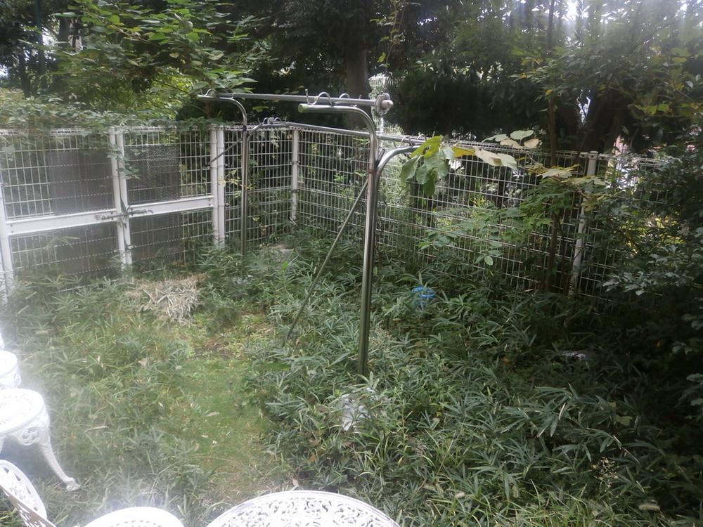 Garden. Local (10 May 2013) Shooting