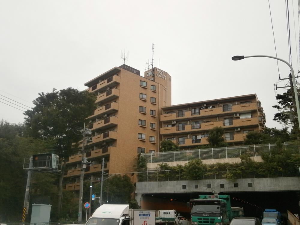 Local appearance photo. Local (10 May 2013) Shooting