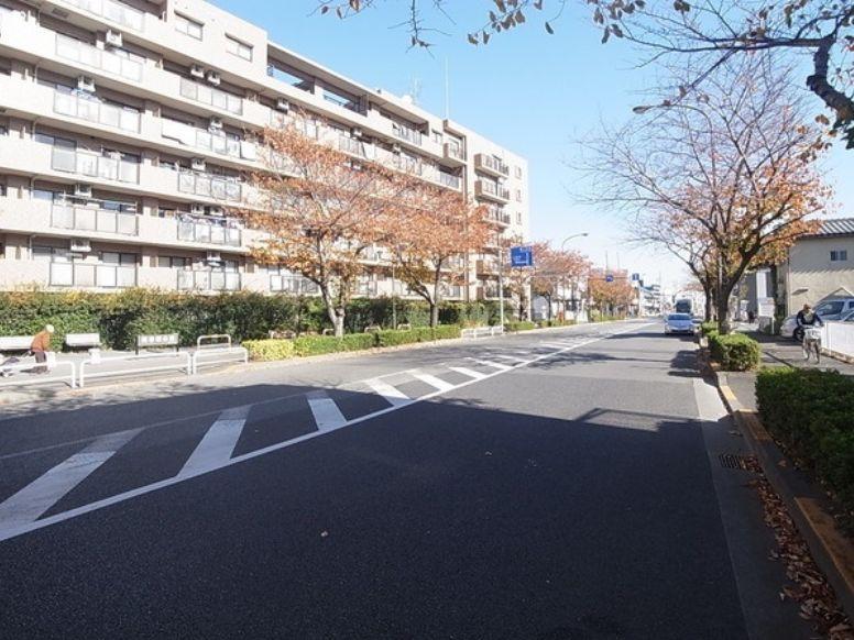 Other local. Frontal road