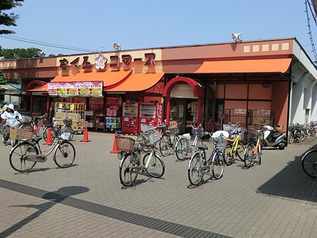 Other. Sakura commerce