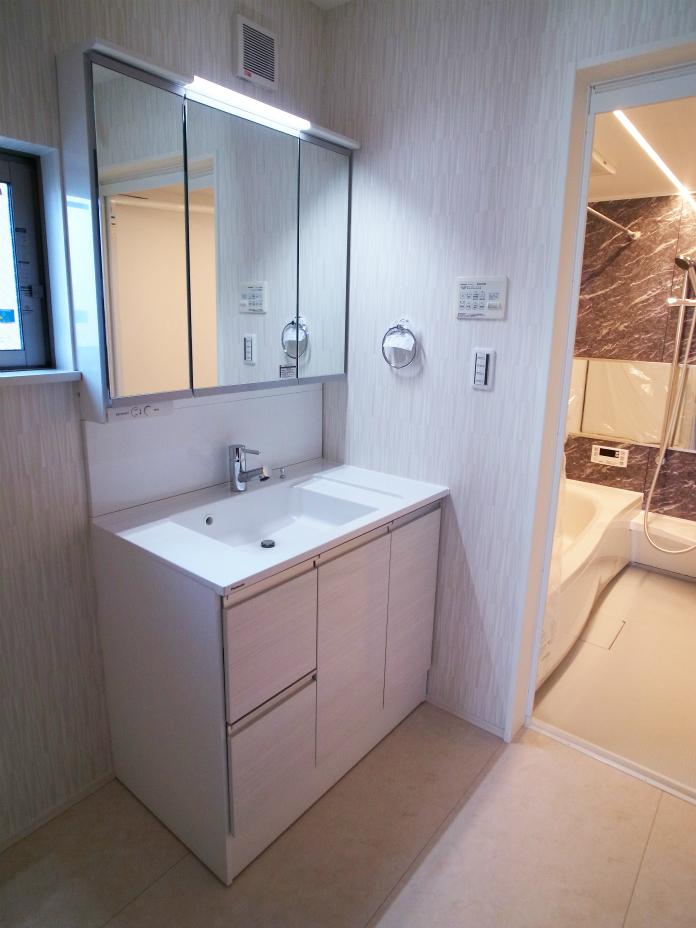 Wash basin, toilet. Washroom