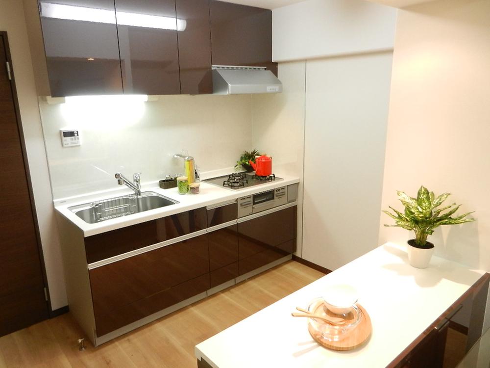 Kitchen. Glass top stove, Water purifier on earth faucet, (May 2013) Shooting