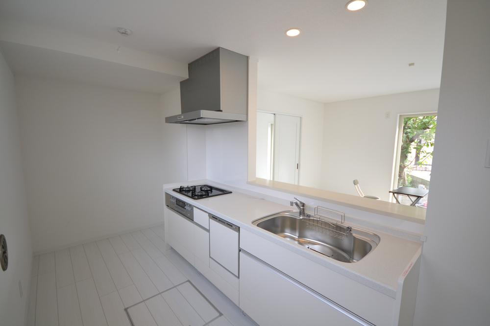 Kitchen. Indoor (11 May 2013) Shooting