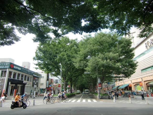 Streets around. 1000m before Fuchu Station