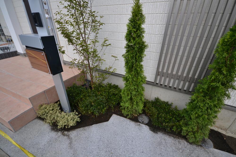 Garden. Local (September 2013) Shooting