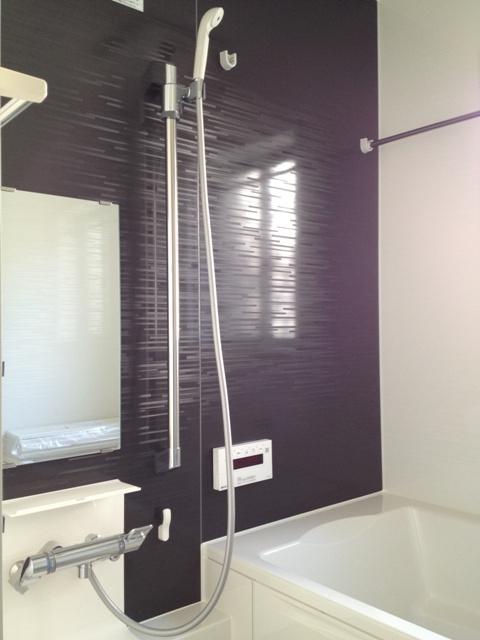 Bathroom. System bus