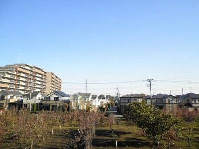 View photos from the dwelling unit