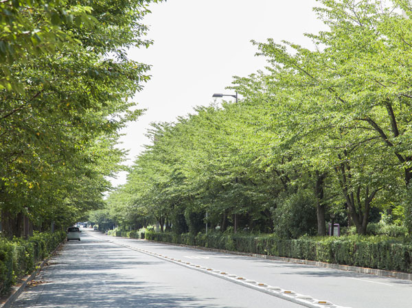 Surrounding environment. Local neighborhood streets (about 960m ・ A 12-minute walk)