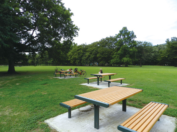 Surrounding environment. Metropolitan Nogawa park (about 3400m / Bicycle about 14 minutes)