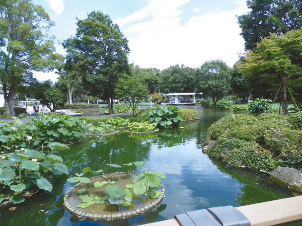 Surrounding environment. Local Forest Park (about 2800m / Bicycle about 12 minutes)
