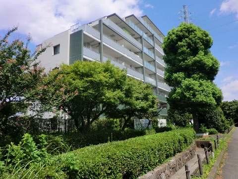 Local appearance photo. Local (August 2013) Shooting