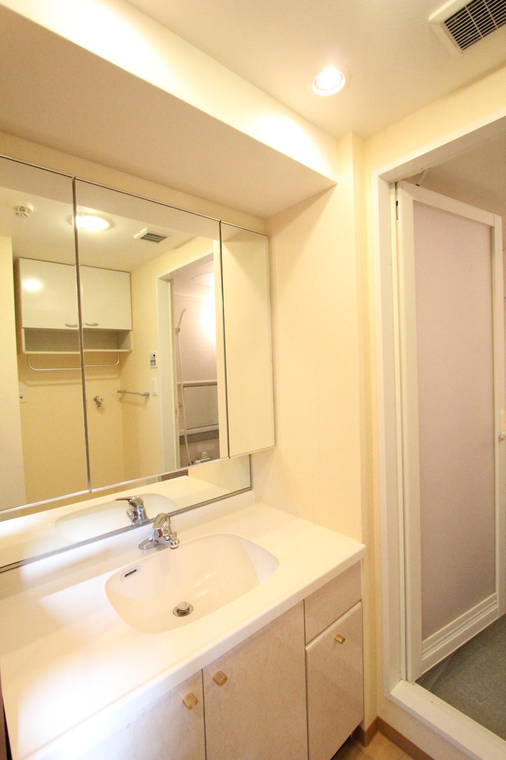 Wash basin, toilet. Interior