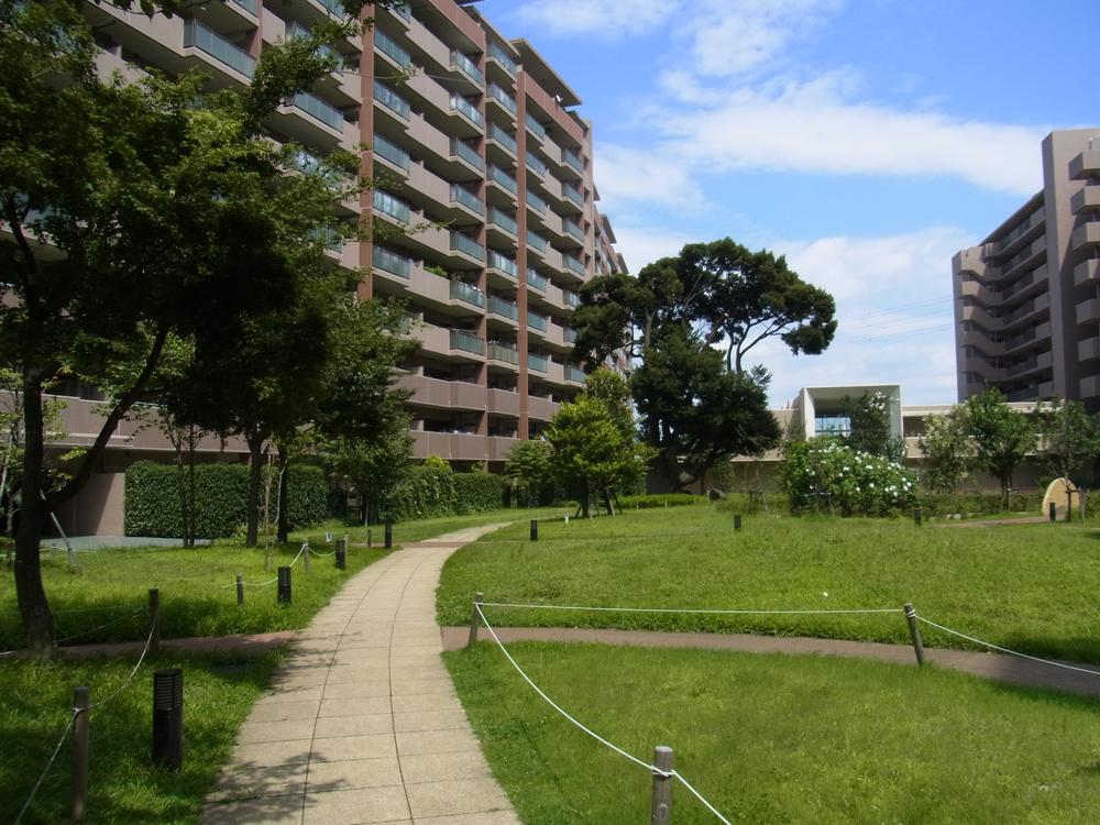 Garden. Spacious courtyard 2013 August shooting