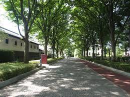 Streets around. ~ Enhancement of the surrounding environment ~ Local Forest Park ・ Is rich location local forest museum green and leisure facilities.
