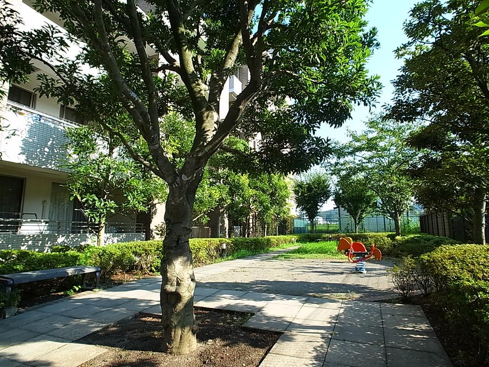 Other common areas. Common areas (on-site park)