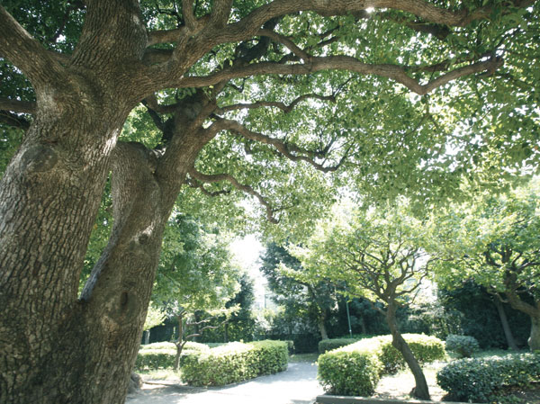 Surrounding environment. Hon'yado the town park (about 110m ・ A 2-minute walk)