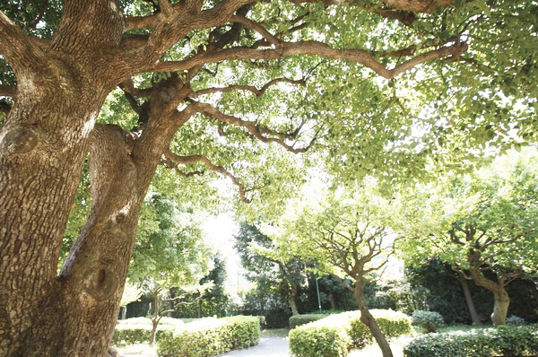  [Hon'yado the town park] A 2-minute walk children rejoice slide and children's park that playground equipment is also aligned, such as Blanco. Since the proximity of a 2-minute walk, Play full of energy you with peace of mind