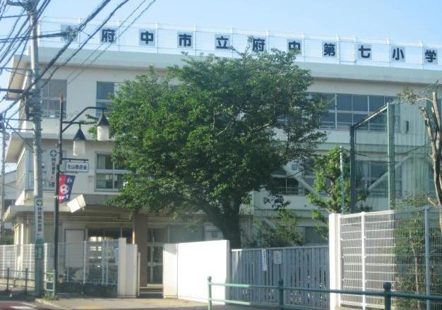 Primary school. Seventh to elementary school 970m