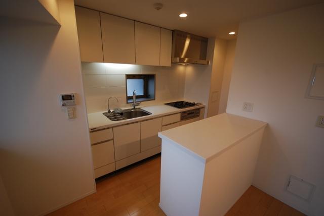 Kitchen. System kitchen with convenient counter
