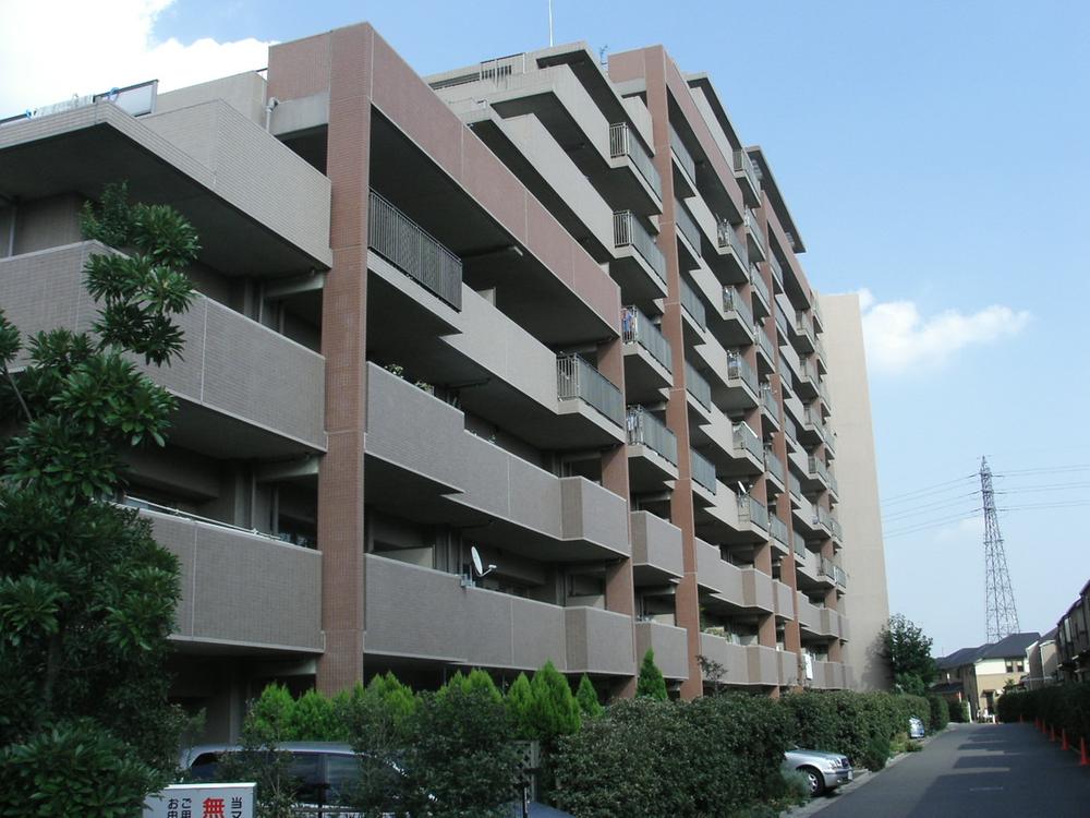 Local appearance photo. Local (April 2013) Shooting