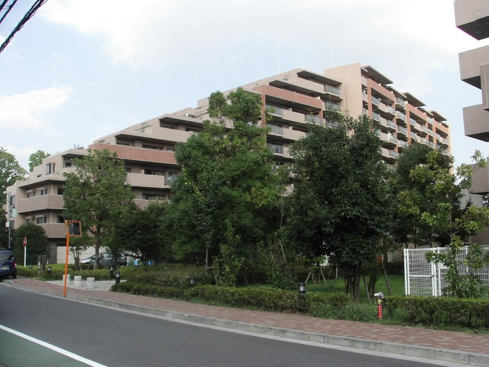 Local appearance photo. Local (April 2013) Shooting