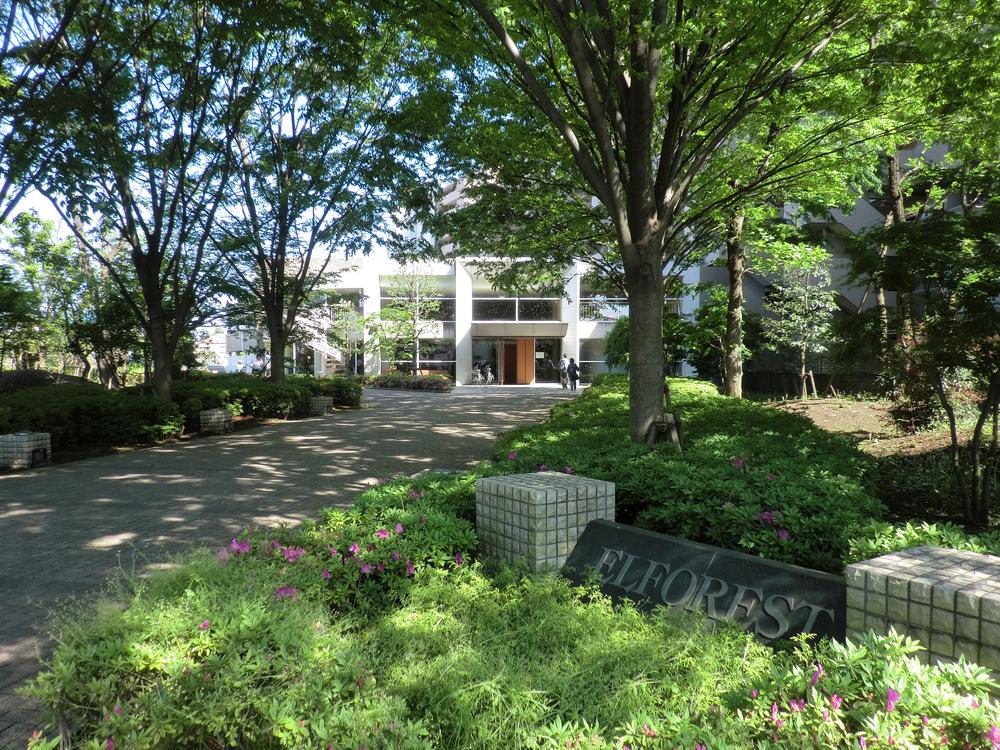 Entrance. Common areas