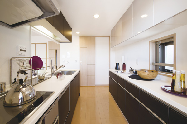 Large cupboard standard equipped with kitchen (B type)