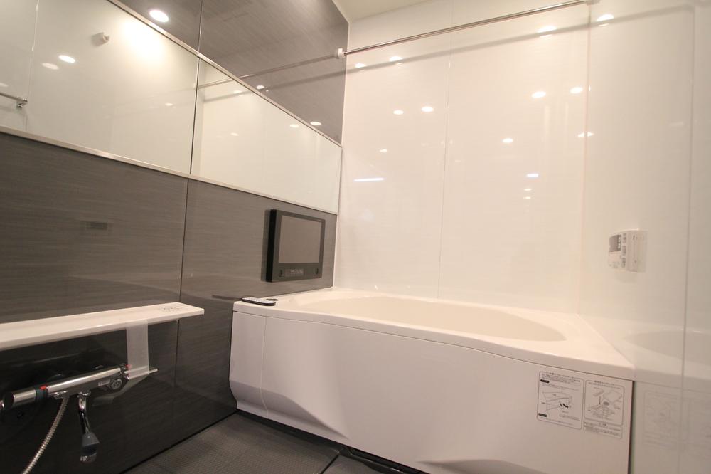 Other Equipment. Bathroom TV with unit bus