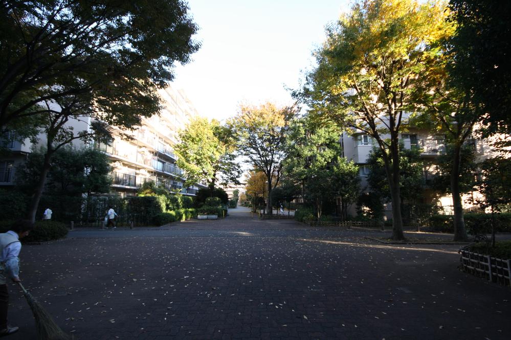 Other local. Local (11 May 2013) Shooting