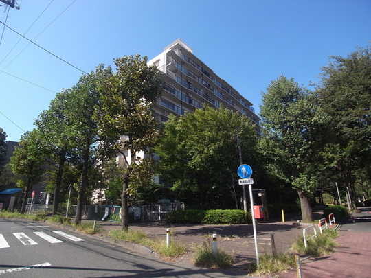 Local appearance photo
