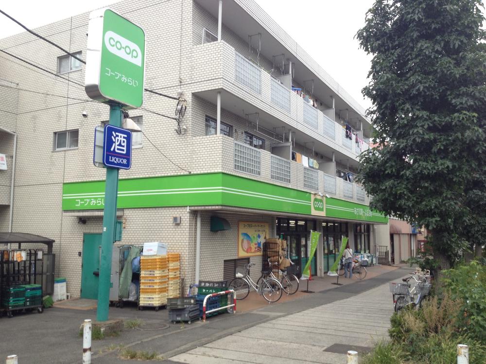 Other. Co-op future