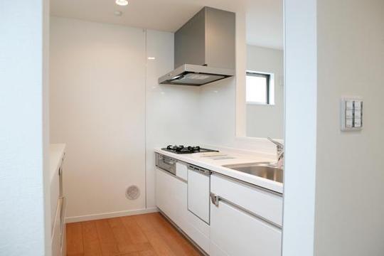 Kitchen. Dishwasher with a kitchen.