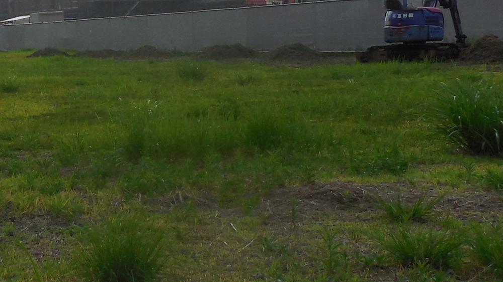 Local land photo. Local (July 2013) Shooting