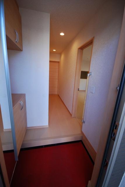 Entrance. Confirmation of dressing is a useful full-length mirror with can take before going out