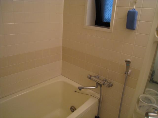 Bathroom. Indoor (April 2013) Shooting
