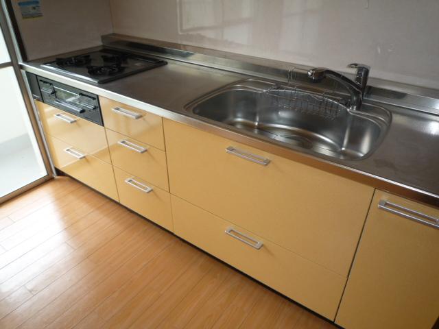 Kitchen. Indoor (12 May 2013) Shooting