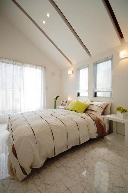 Other. It is also excellent brightness of the daytime not wearing the indoor electric. 