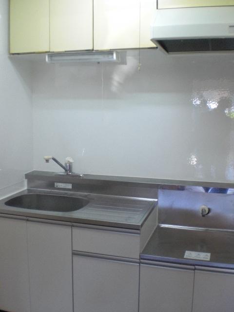 Kitchen. Indoor (11 May 2013) Shooting