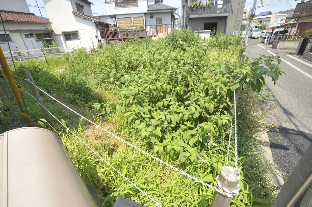 Local land photo. Local (July 2013) Shooting