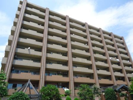 Local appearance photo. Local (10 May 2013), taken from under the south side shooting