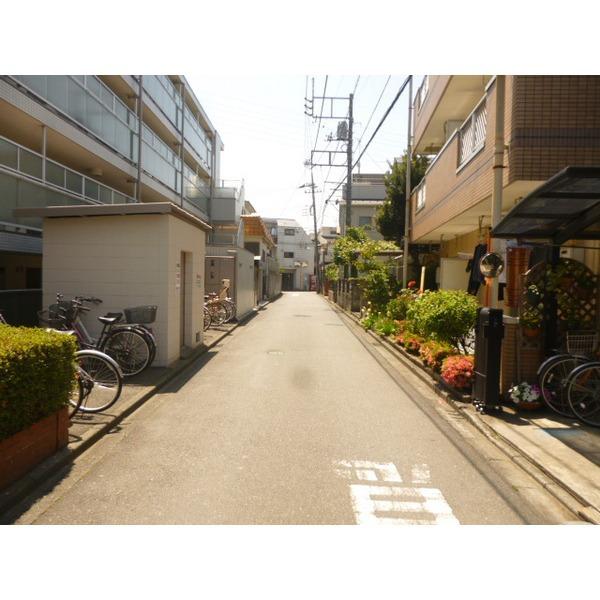 Other introspection. Frontal road