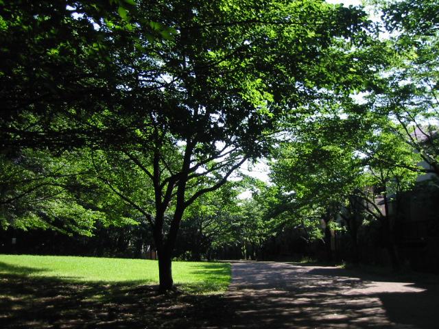 Other. Minami Osawa Station there is a promenade. Way of a 15-minute walk to the station.