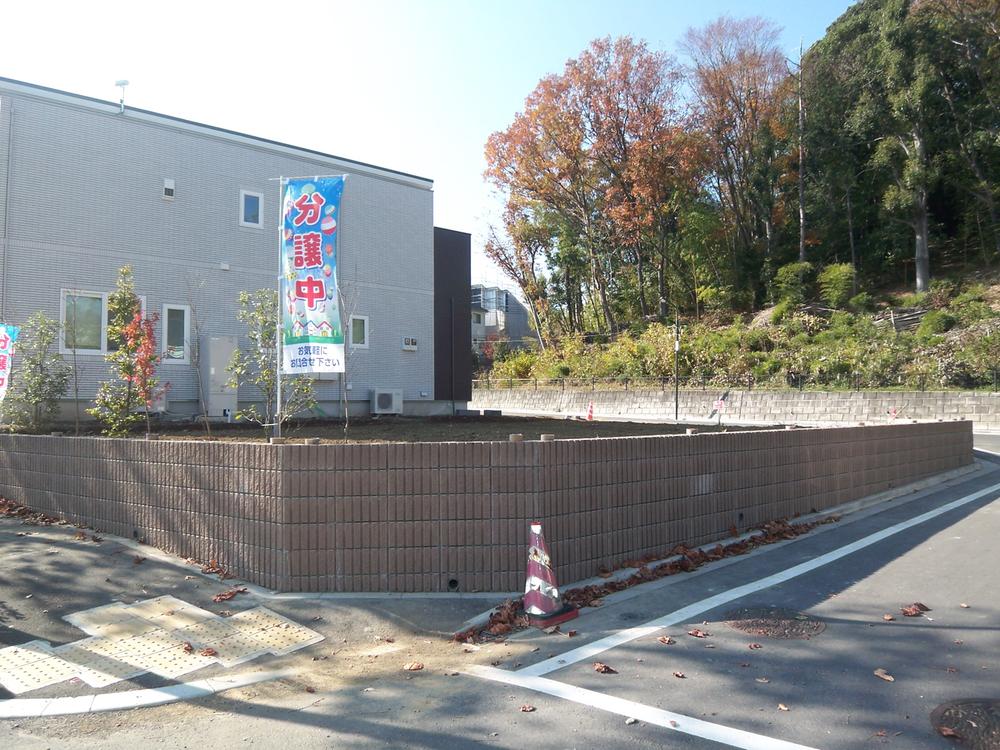 Local land photo. Local (11 May 2013) Shooting