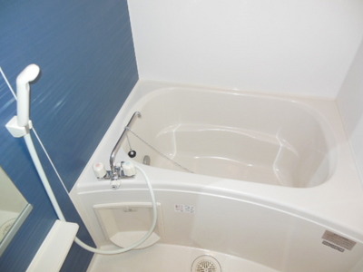 Bath. Beautiful bathroom