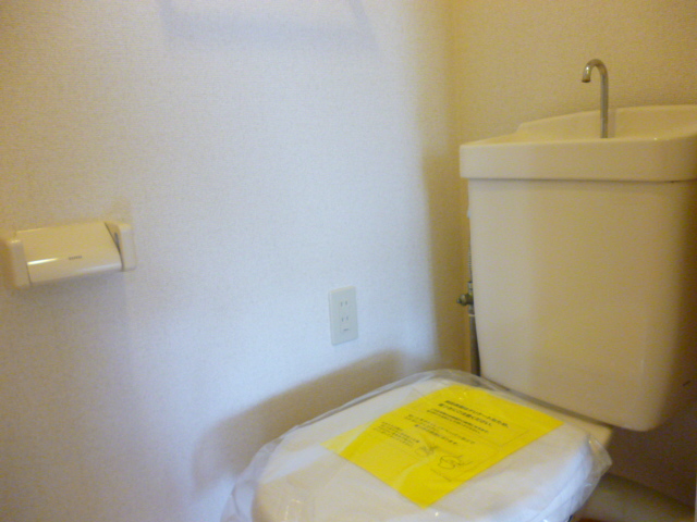 Toilet. Toilet with a shelf