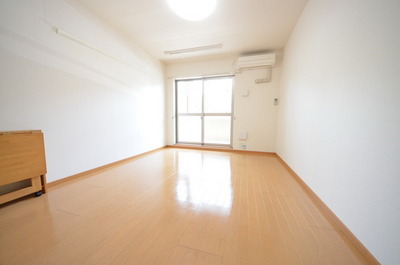 Living and room. Bright rooms