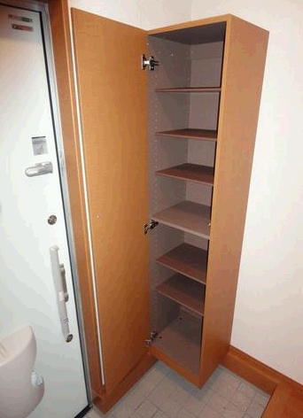 Entrance. Is a big shoe box equipped in the front door.