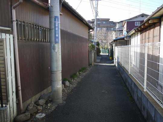 Local photos, including front road