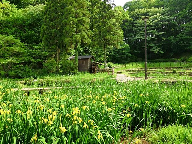 park. 980m until KATAKURA Castle Park
